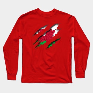 Wales Shredding Long Sleeve T-Shirt